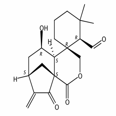 毛果香茶菜醛A85329-59-5植物提取HPLC