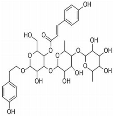 紫茎女贞苷B147396-02-9植物提取HPLC