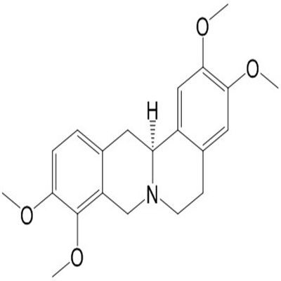 左旋四氢巴马汀 483-14-7植物提取HPLC