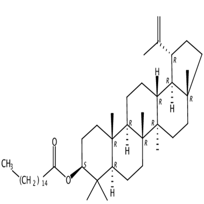 羽扇烯基棕榈酸酯32214-80-5植物提取HPLC