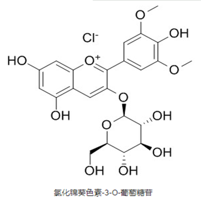 氯化锦葵色素-3-O-葡萄糖苷植物提取HPLC