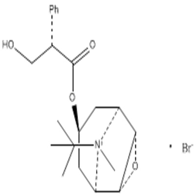 丁溴酸东莨菪碱.jpg