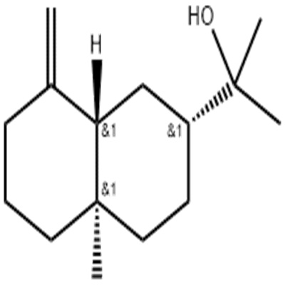 β-桉叶醇.jpg