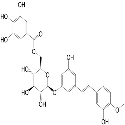 Rhaponticin 6''-O-gallate 植物提取HPLC