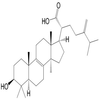 齿孔酸560-66-7植物提取HPLC