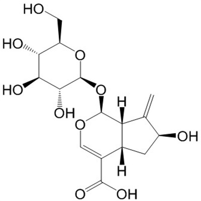 栀子新苷54835-76-6植物提取HPLC