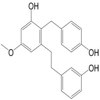 Isoarundinin II 151538-56-6植物提取HPLC