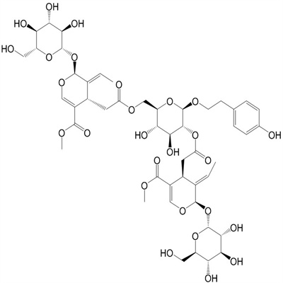 Oleonuezhenide植物提取HPLC