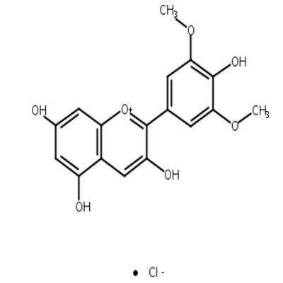 氯化锦葵色素643-84-5植物提取HPLC