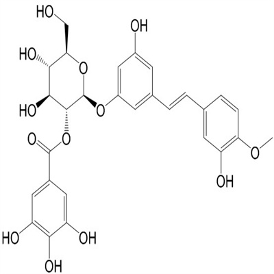 Rhaponticin 2''-O-gallate植物提取HPLC