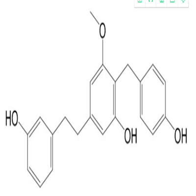 Arundinin148225-38-1植物提取HPLC