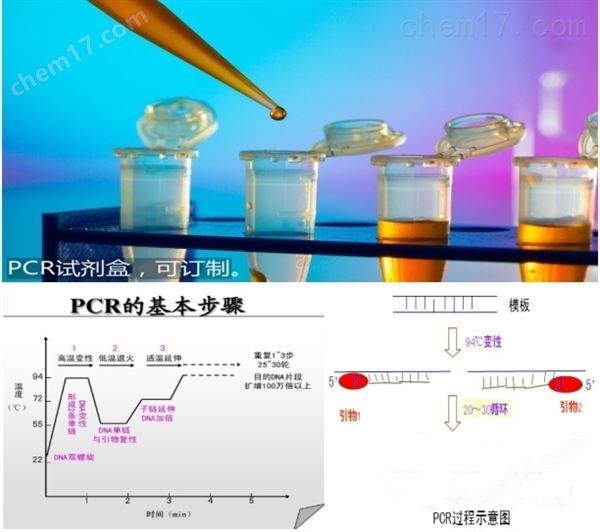 伞枝梨头霉PCR试剂盒