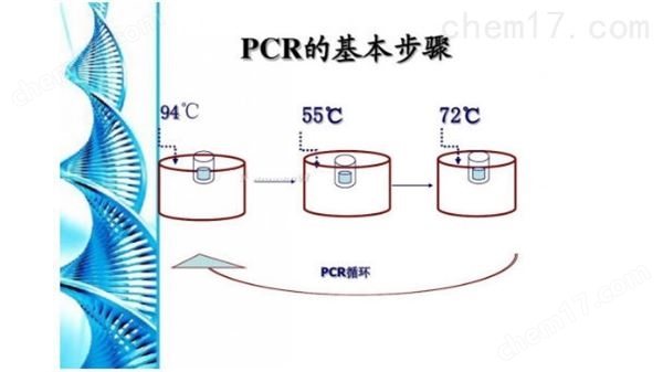 PCR试剂盒