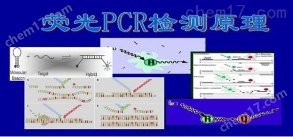 PCR检测试剂盒